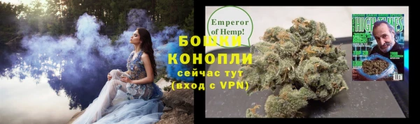 PSILOCYBIN Арсеньев