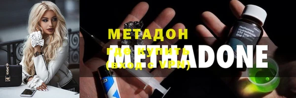 сатива Аркадак