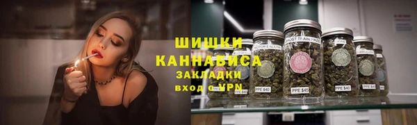 сатива Аркадак