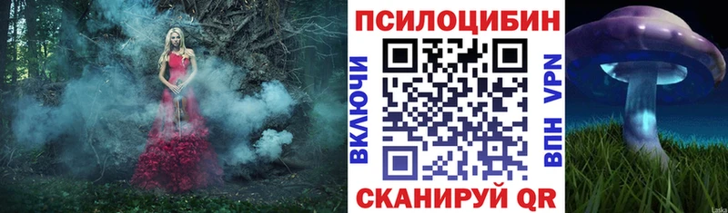 Галлюциногенные грибы Magic Shrooms наркошоп Судогда